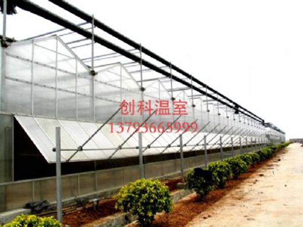 陽光板溫室